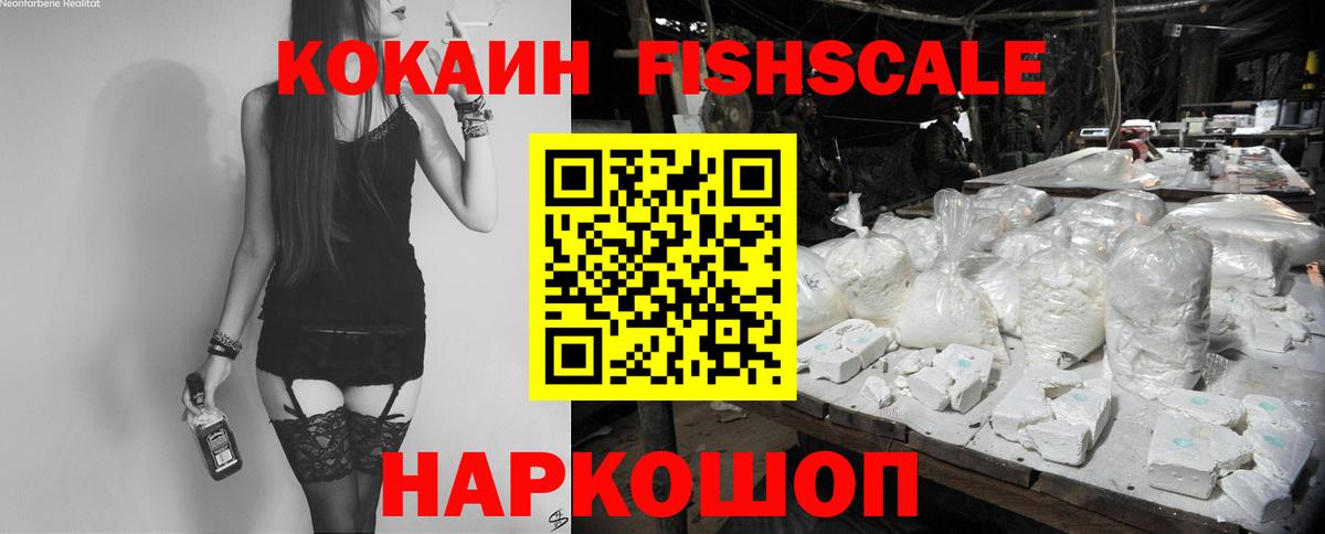 COCAIN Fish Scale Горно-Алтайск